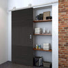 Top Mounted Stainless Steel Sliding Track & Door - Tres Charcoal Black Flush Door - Prefinished