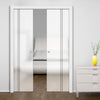 Crichton 8mm Obscure Glass - Clear Printed Design - Double Evokit Pocket Door