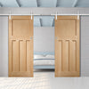 Double Sliding Door & Stainless Steel Barn Track - DX Oak Panel Door - 1930's Style -Unfinished