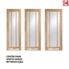 Double Sliding Door & Track - Lincoln 3 Pane Oak Doors - Clear Glass - Unfinished