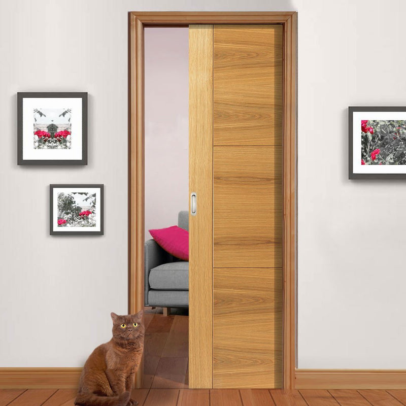 Cat door 2025 for pocket door